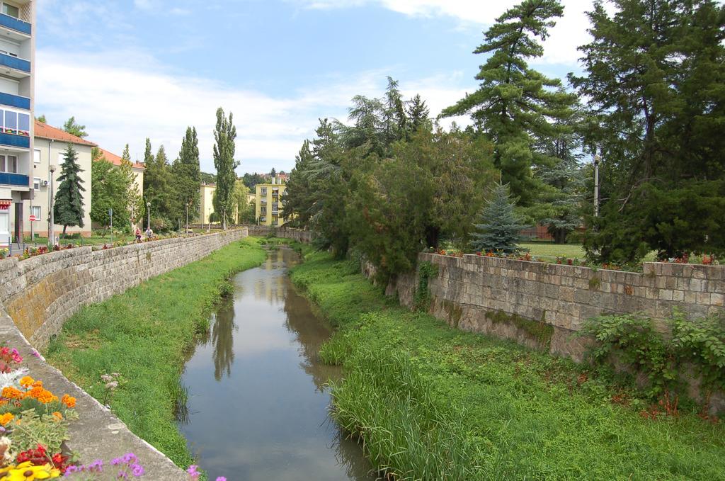 Apartman Rose Эгер Экстерьер фото